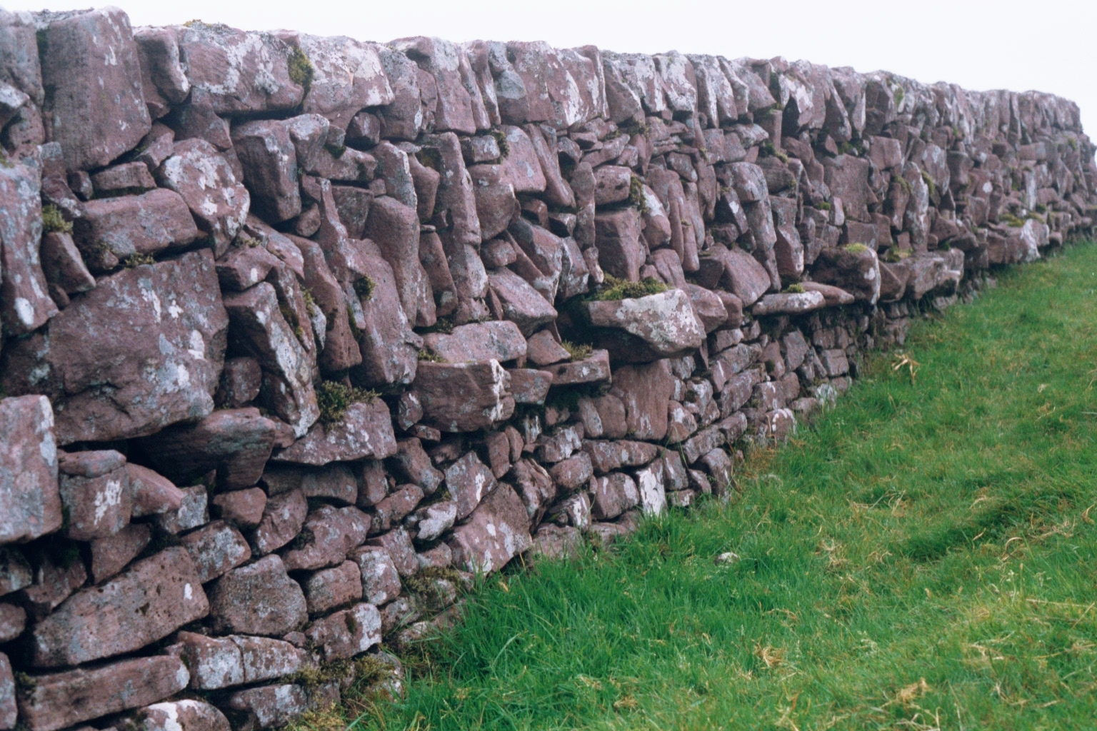 galteewall021.jpg